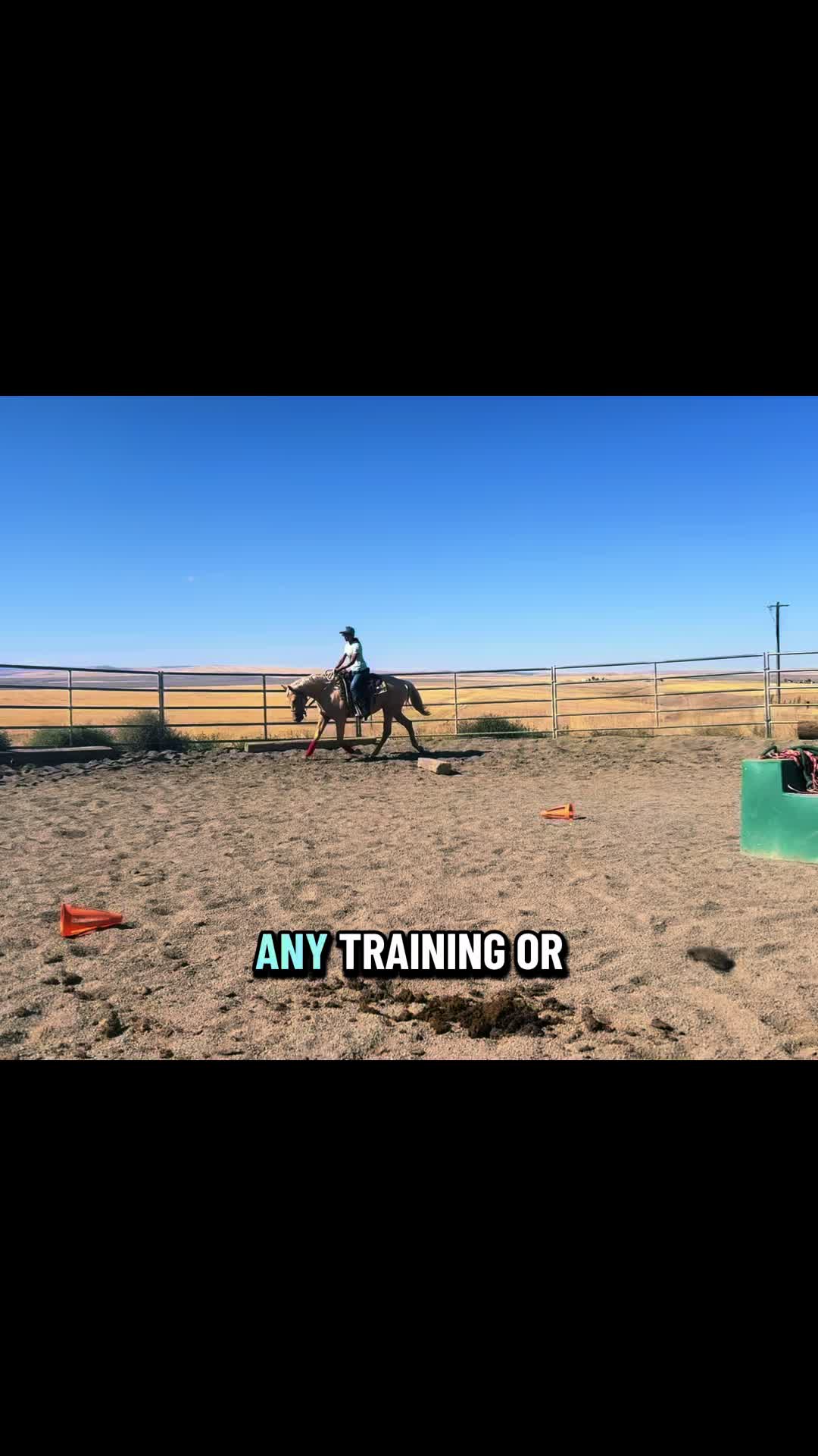 @Cowgirl Tuff Colt Training ❤️