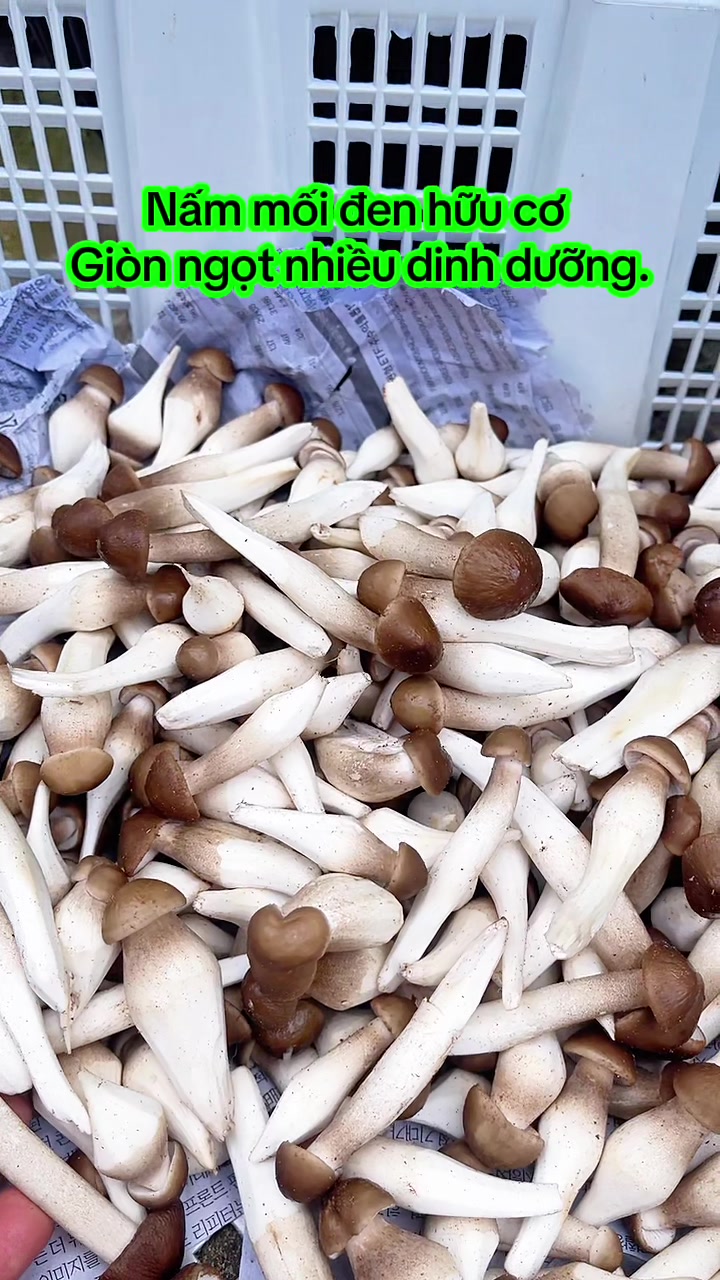 @nguyentuyet_79