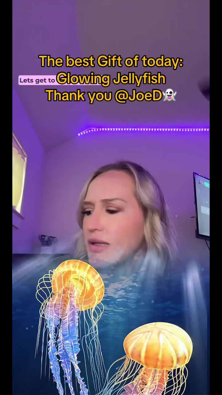 @ChrisBo