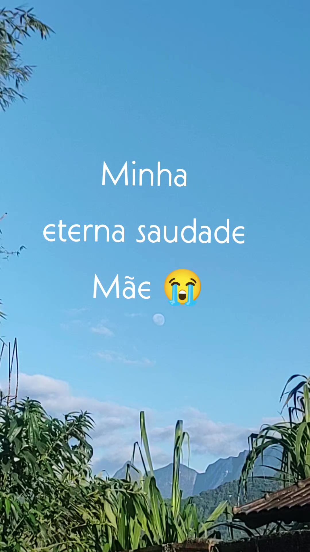 @Juliana Caruso