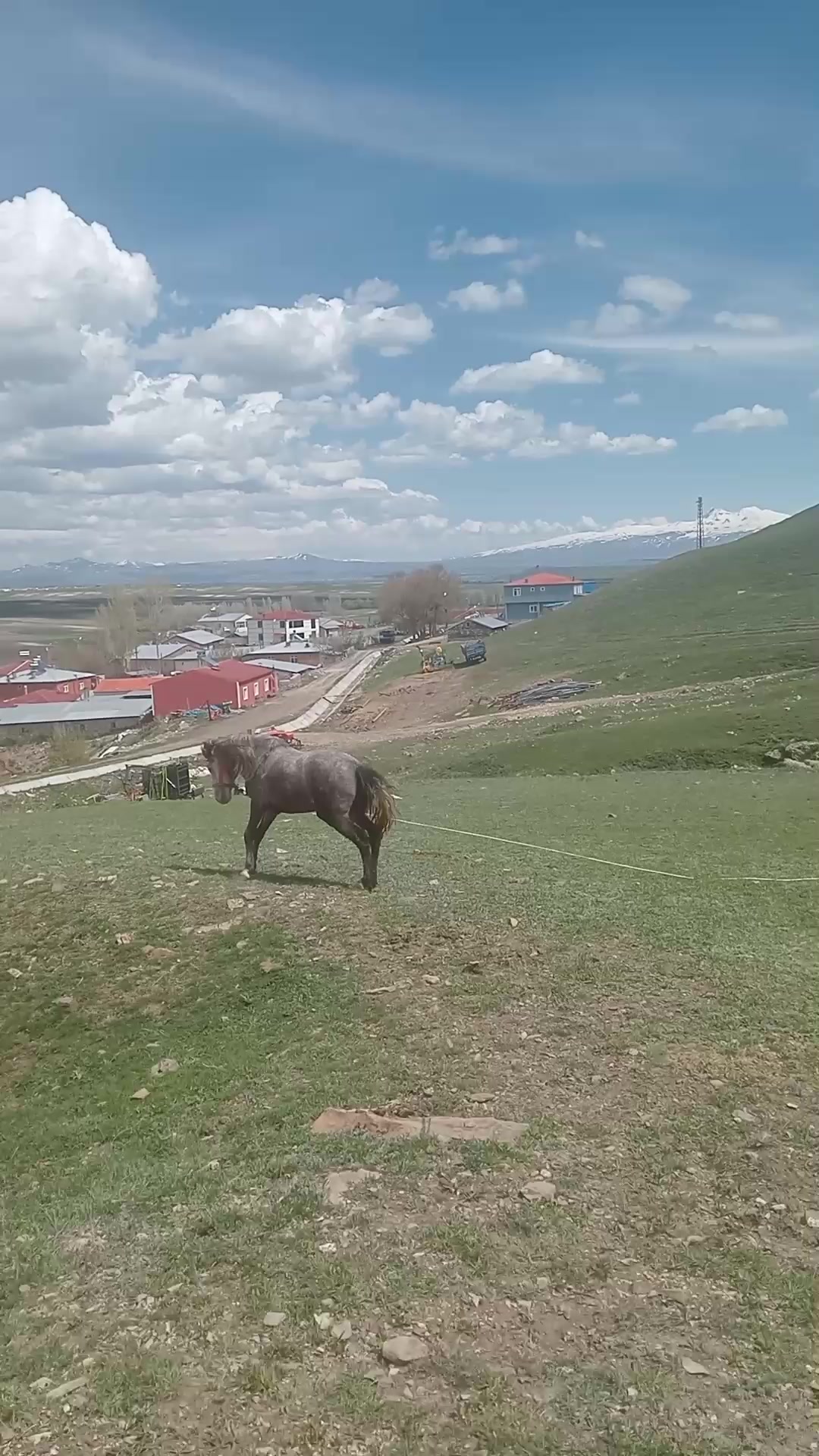 @şahinpolat