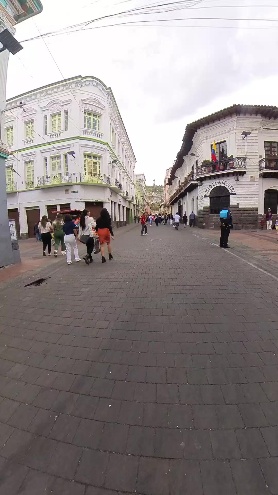 @D.León