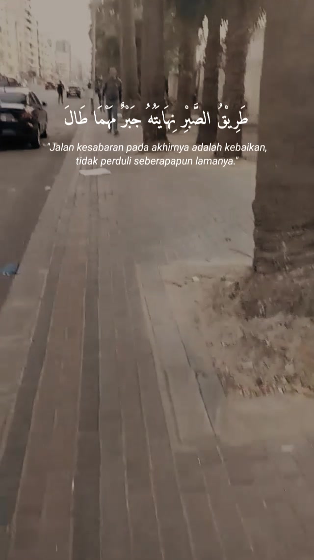 @Dina Kamal