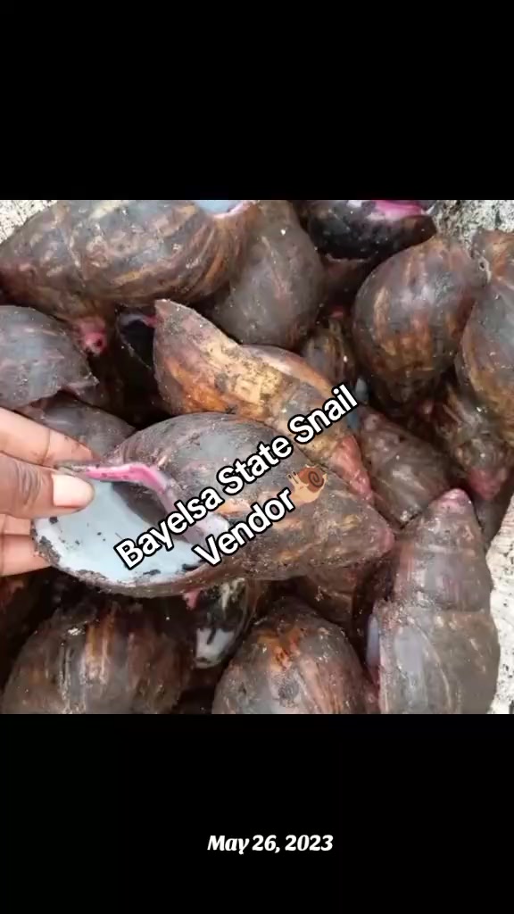 @Shuga Berry🇳🇬🇲🇾