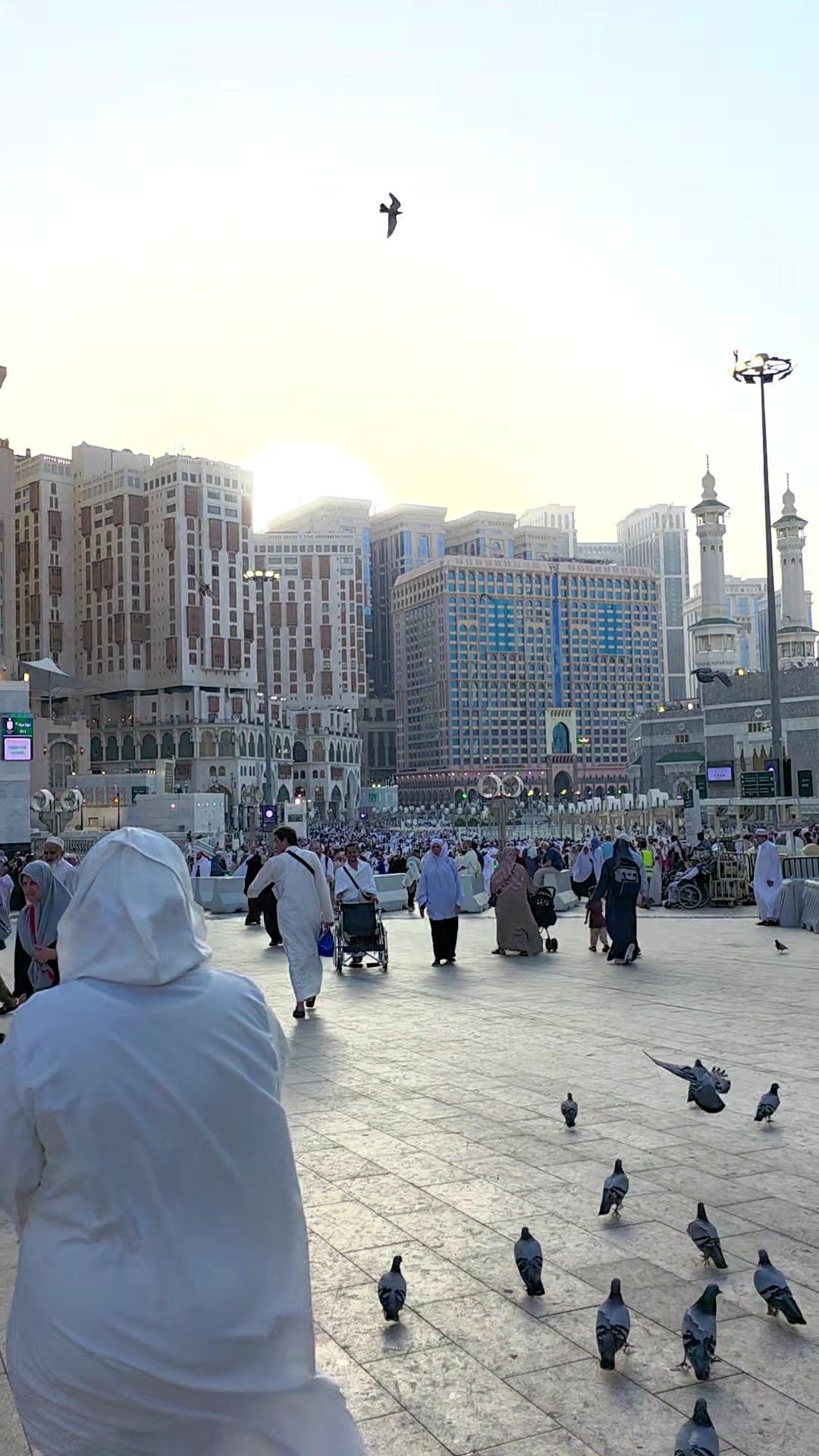 @إلياس خالد |&deg; Elias📸