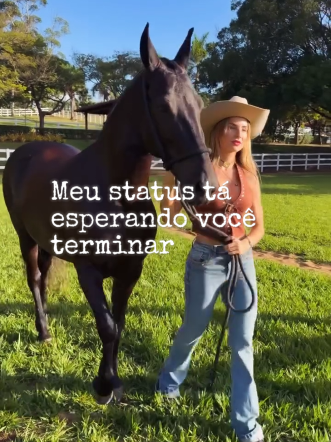@hitsgm