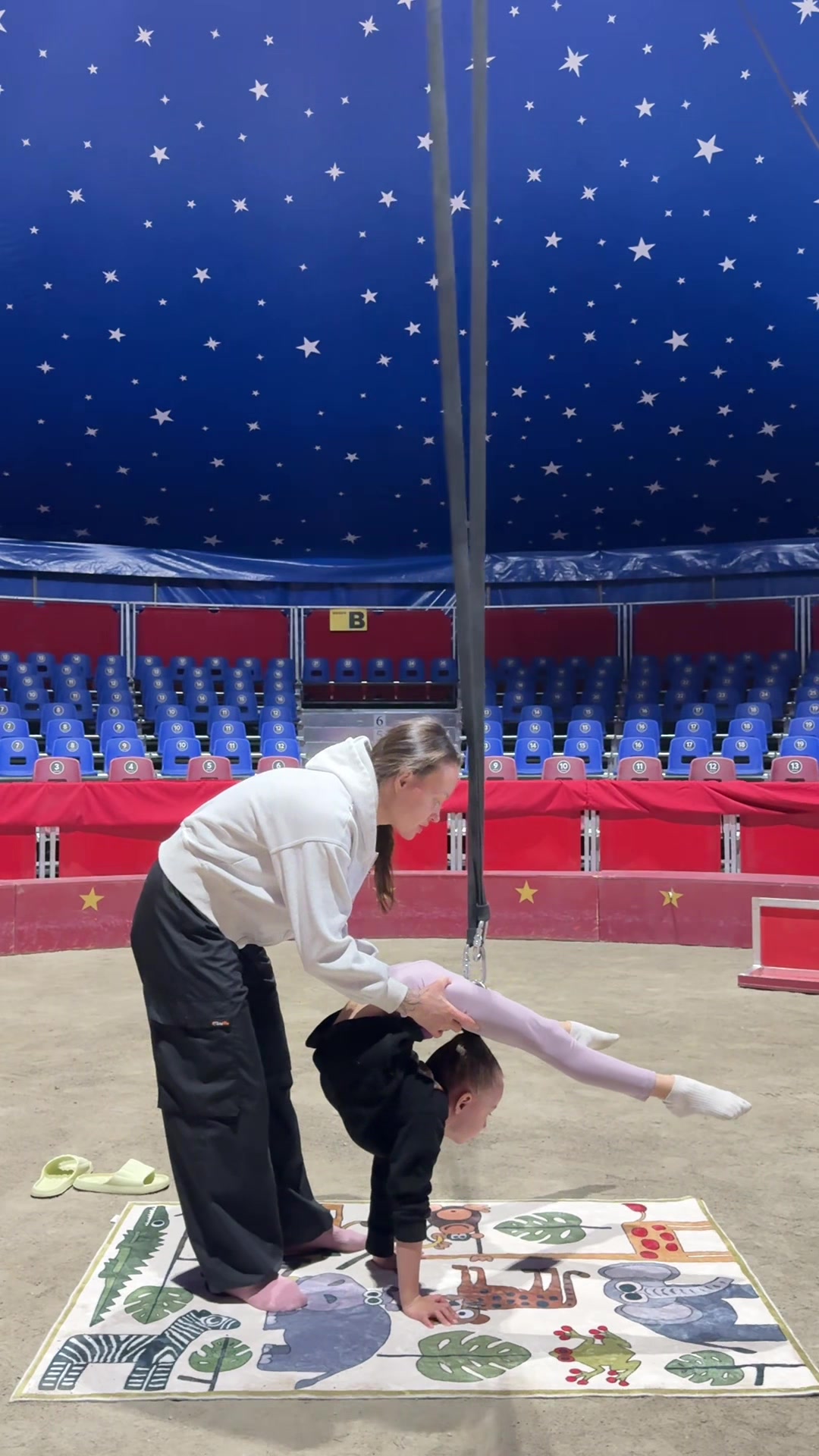 @wow_family_circus