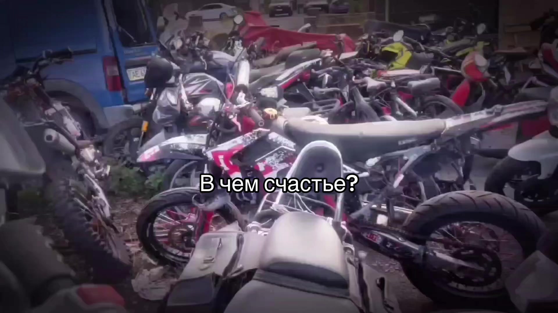 @резиновий папугай