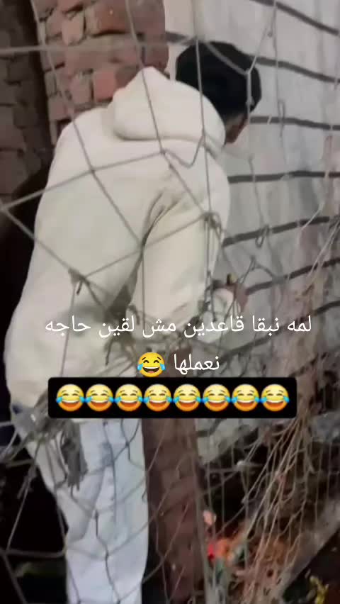 @Nagy Hany395