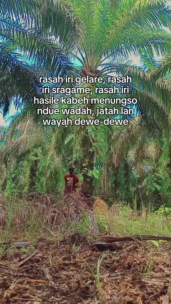 @admin suargo