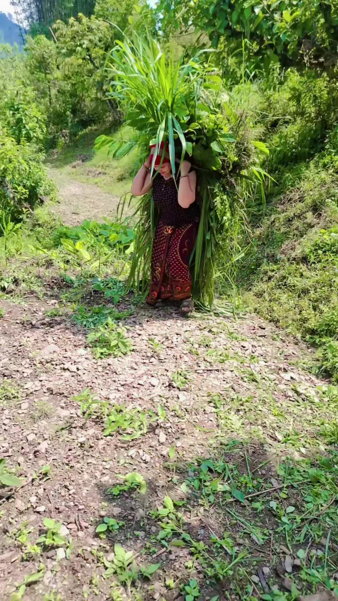@pabitra🧿🧿🧿