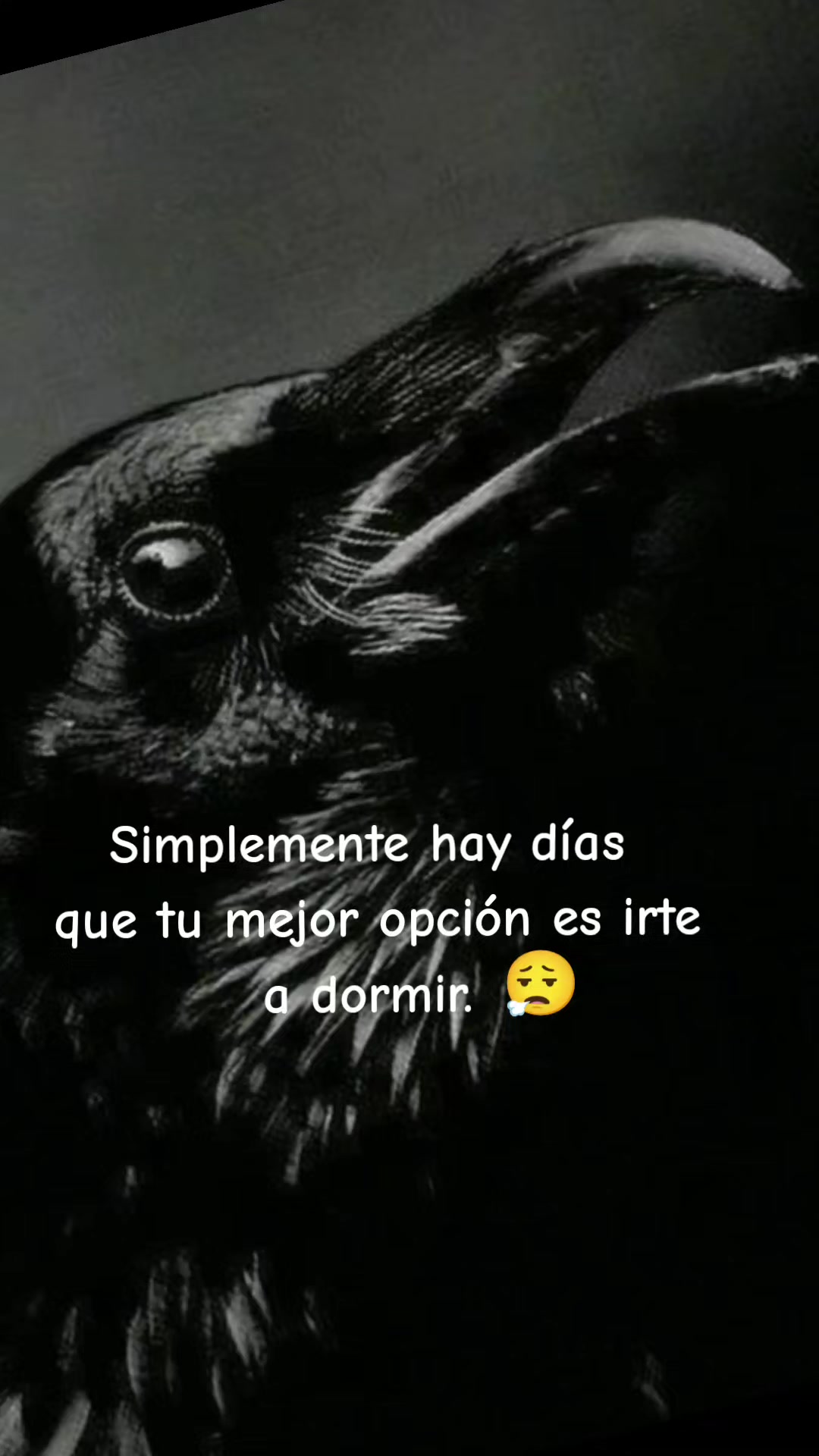 @◐⃢⃟꙰✧ 𝐅𝐑𝐀𝐒𝐄𝐒 ঔৣ◐⃢⃟꙰