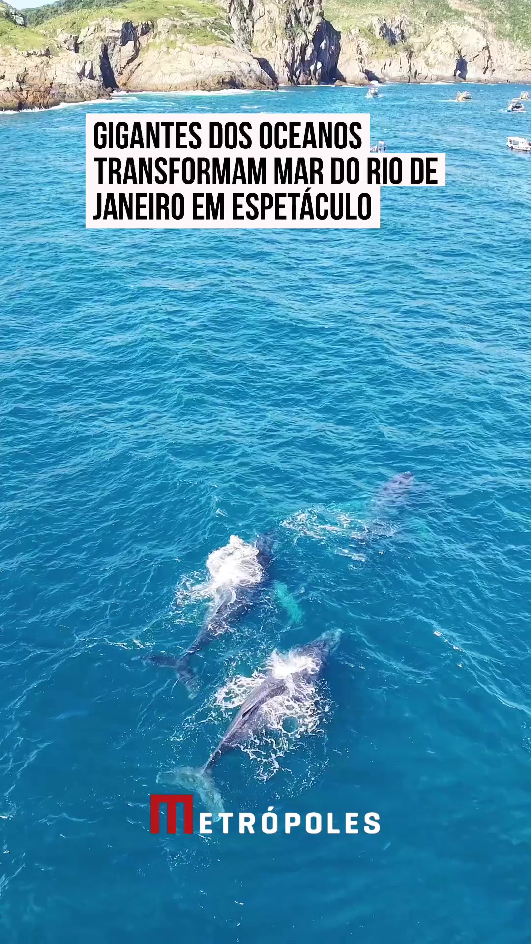 @Metr&oacute;poles Oficial