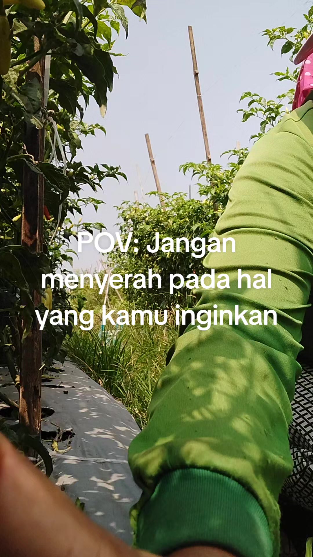 @Widya Ananda Wulan Dโ