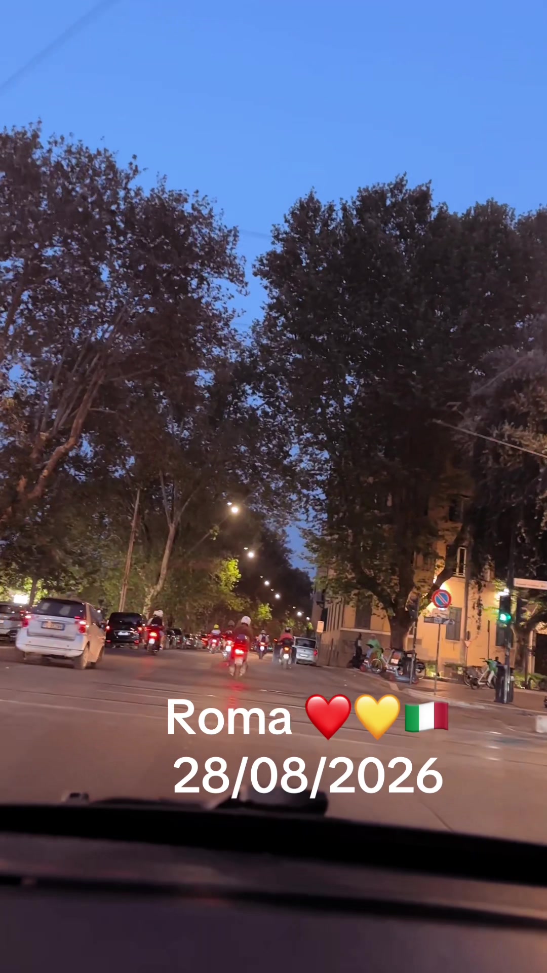 @♥️🐾💛Nina Barboncino ♥️🐾💛
