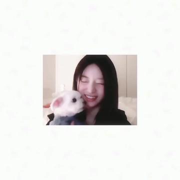 @ᥲᥣ (ოօk&alpha; ѵҽɾ)