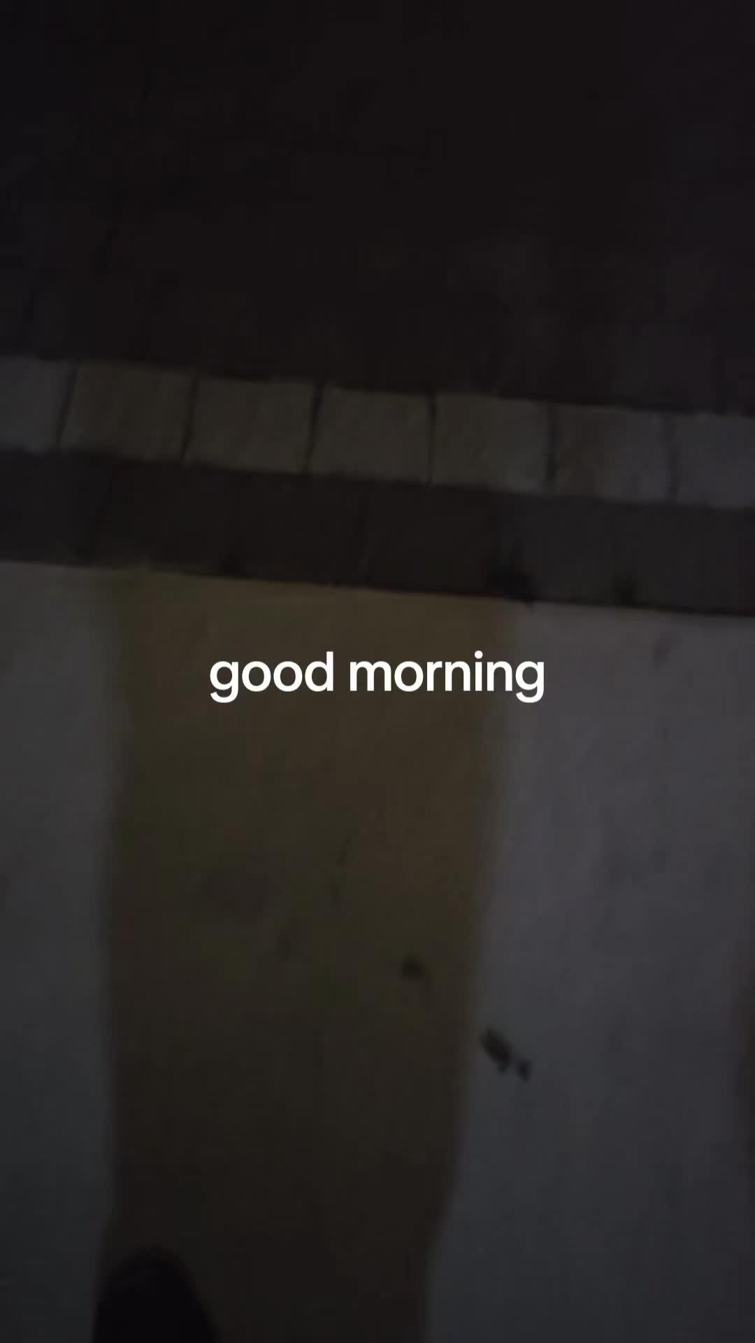 @itsjustfarts