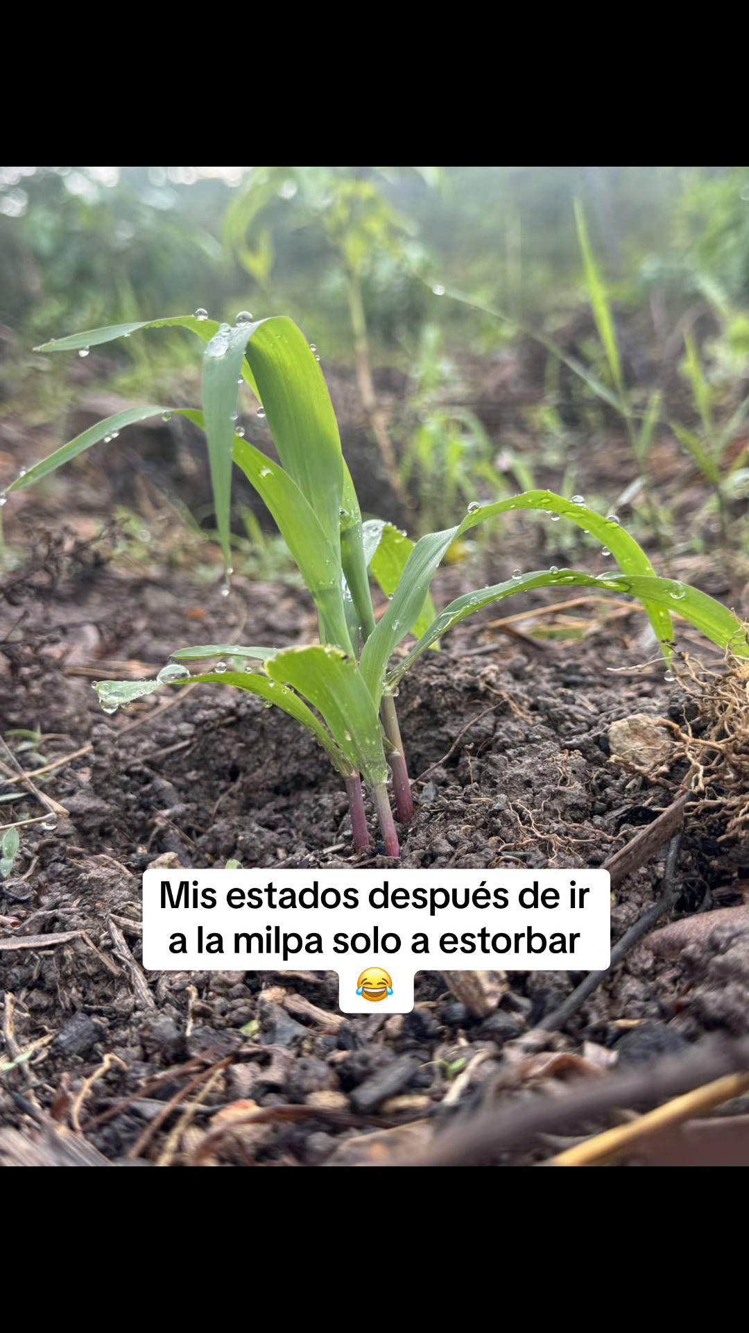 @Marlonsorto