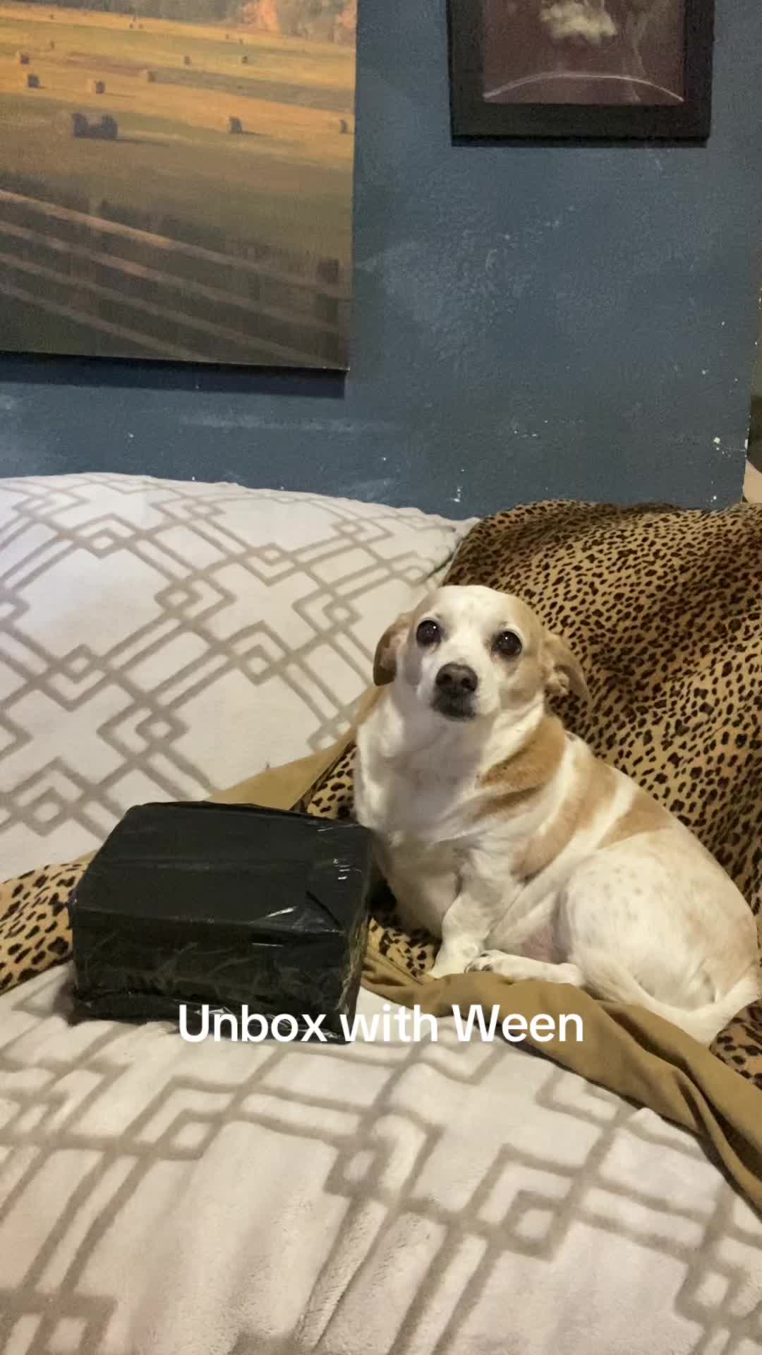 @Ween