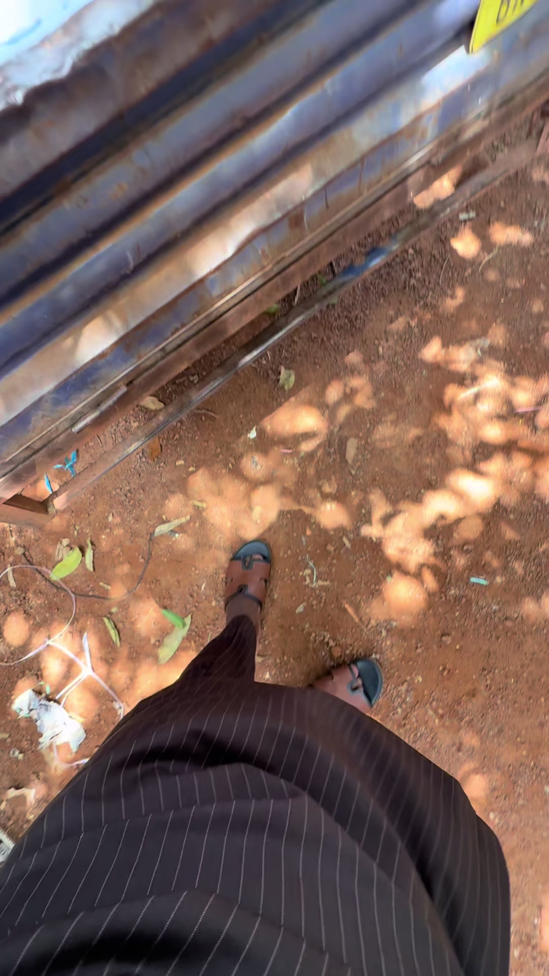 @Dvmso/Diallo tex