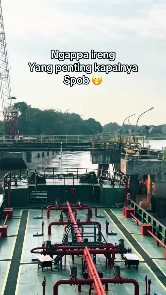 @Pesut_Mahakam95🐳
