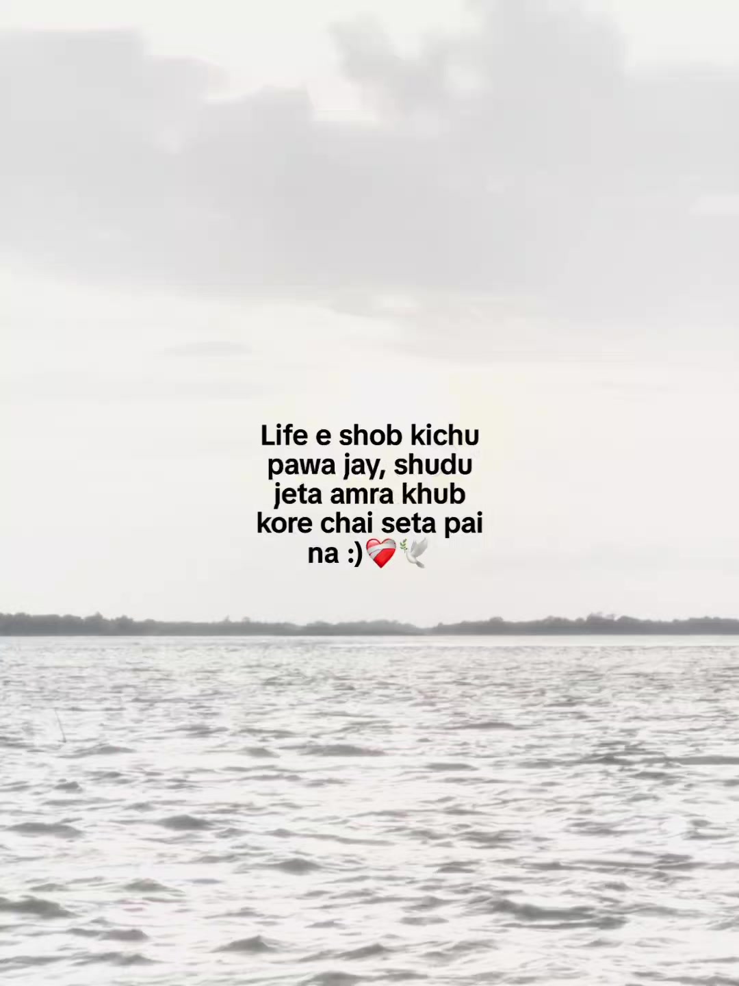 @Someone :)🤍🕊️✨