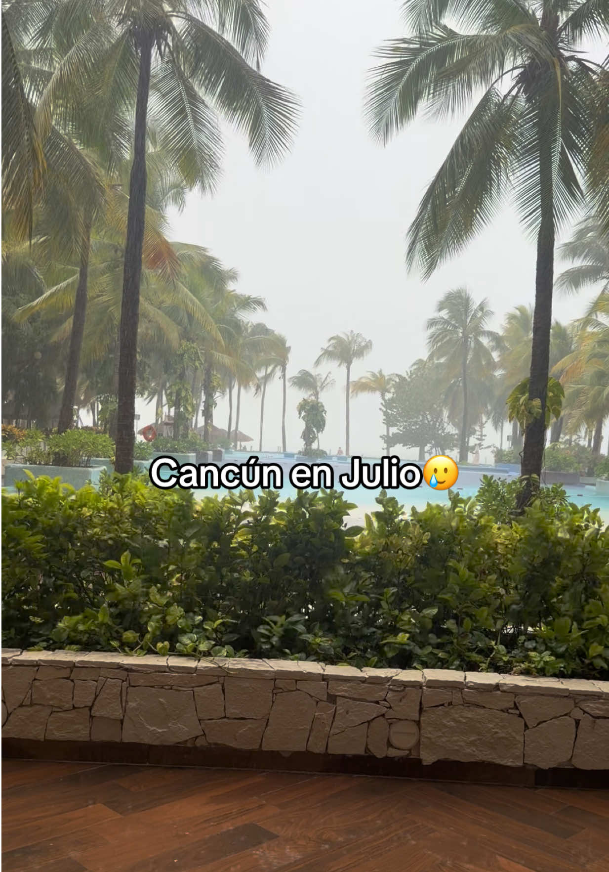 @Miryam Rangel Gutierrez