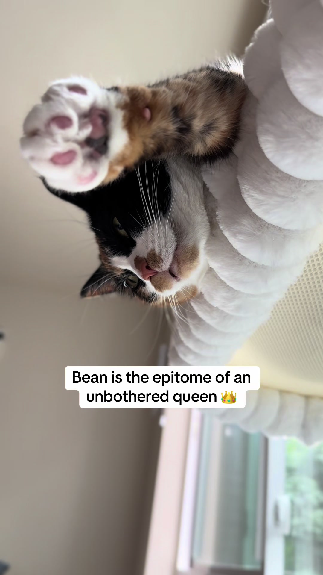 @Frank & Bean