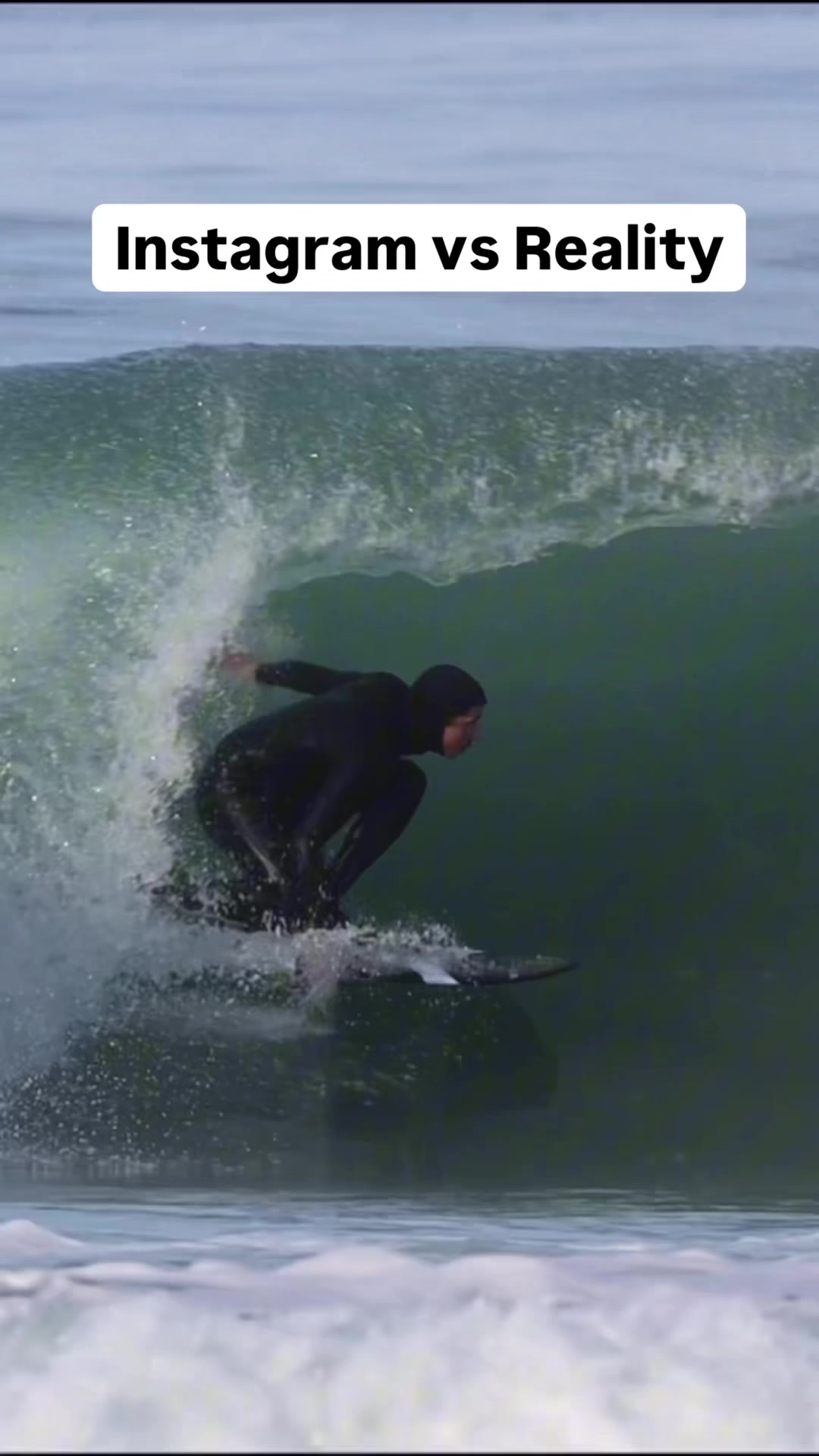 @Ho Stevie Surf Shop