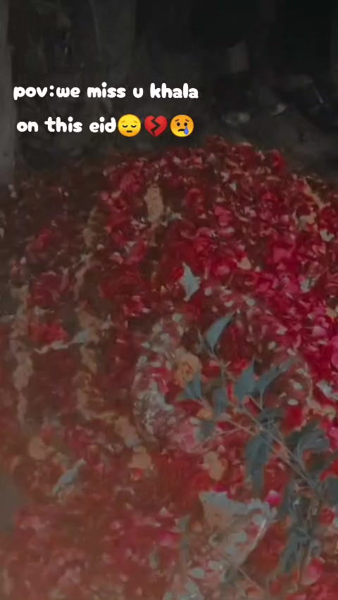 @🦁شیر_دا_پتر🫅(لاہوریا)👑