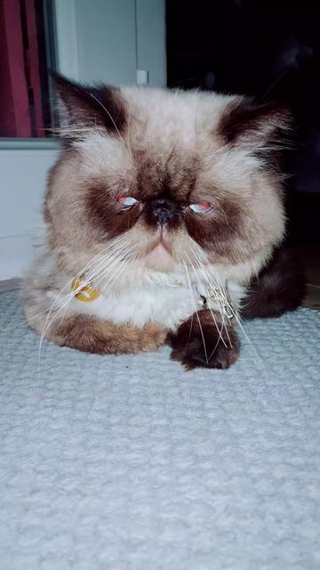 @🇹🇷😻PABLO🇹🇷😻
