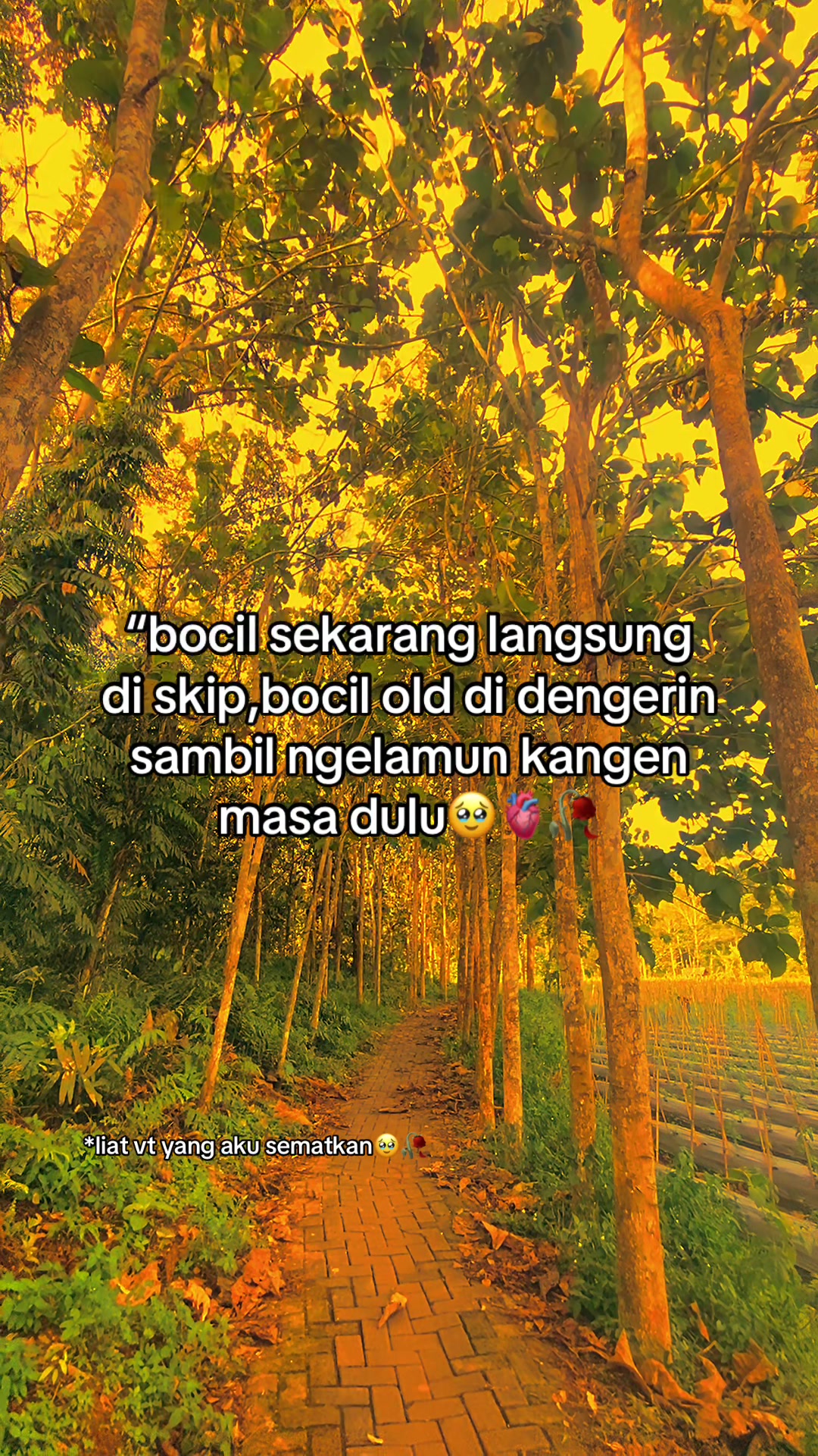 @alpin fikri🛍🥇👇🏻🤩