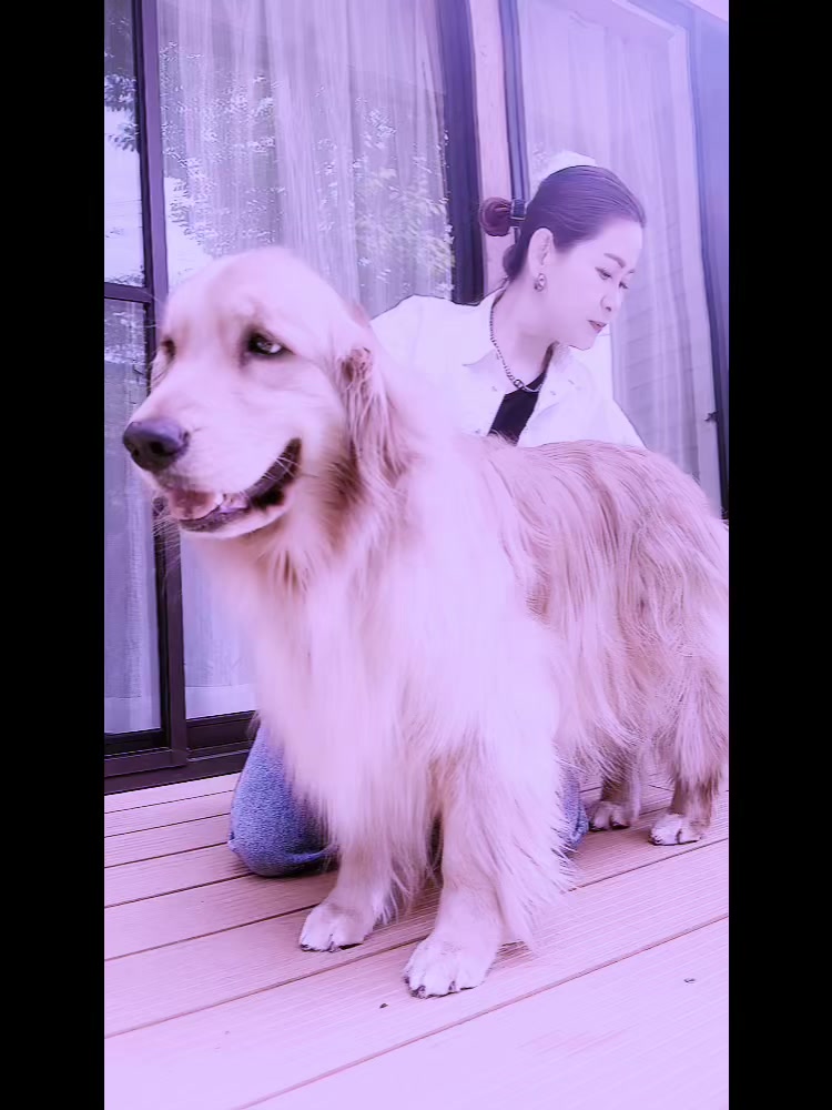 @ACIKA🇯🇵🇲🇨MOMO🍑🐶