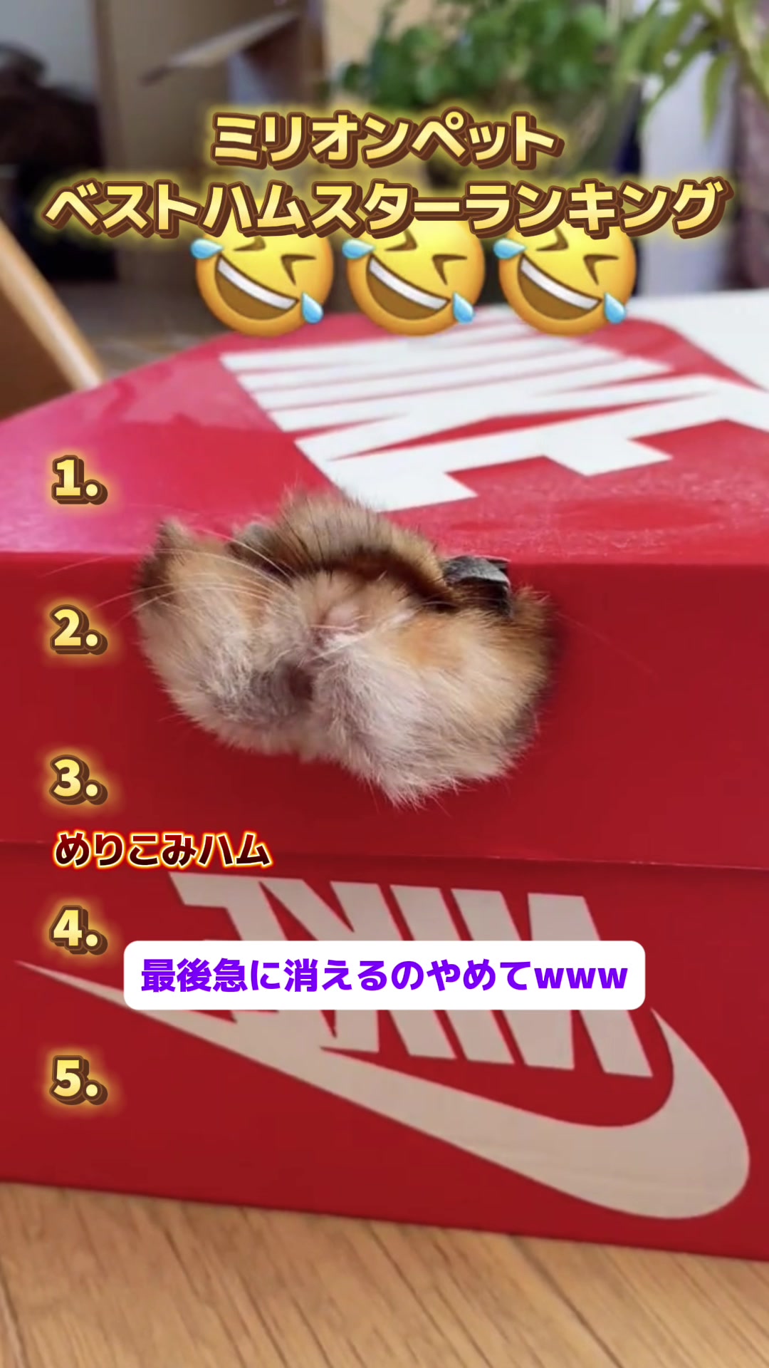 @ミリオンペット