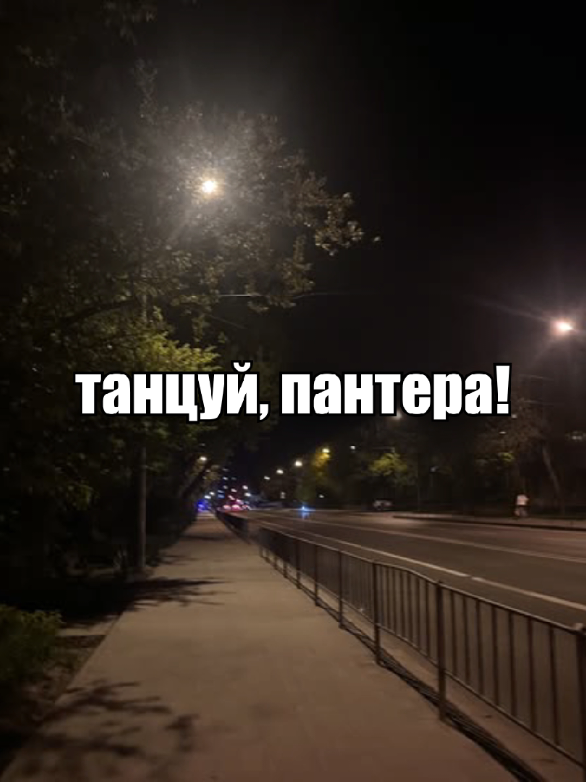 @tenbeery