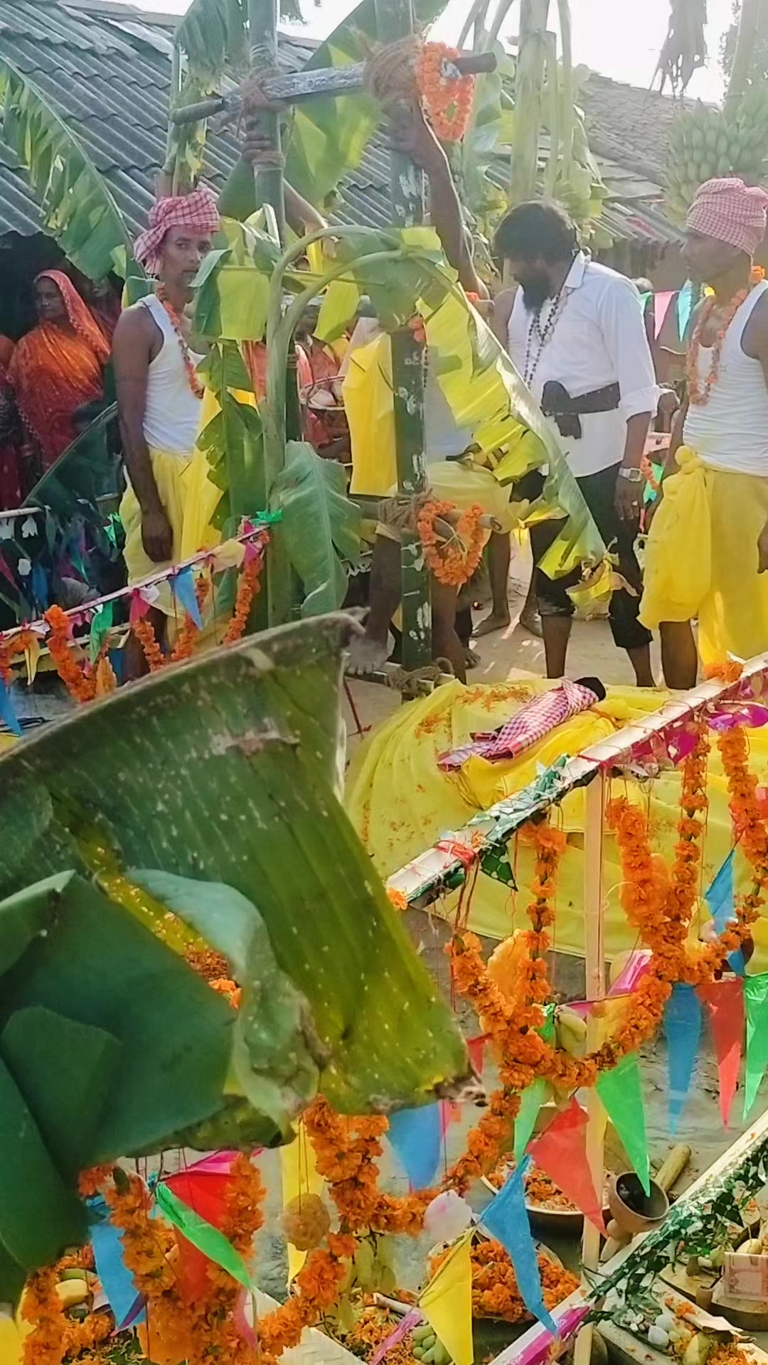 @Mohan Mahato
