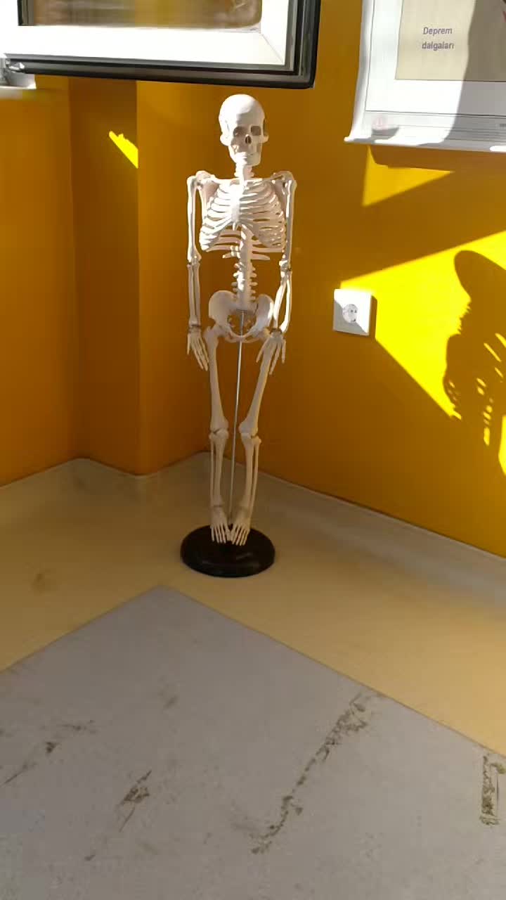 @derdoo