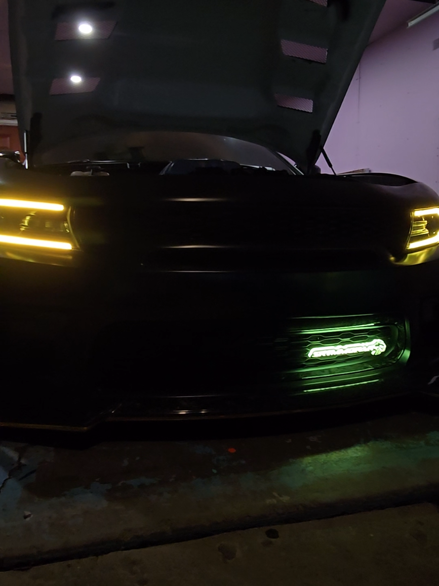@srtmmopar