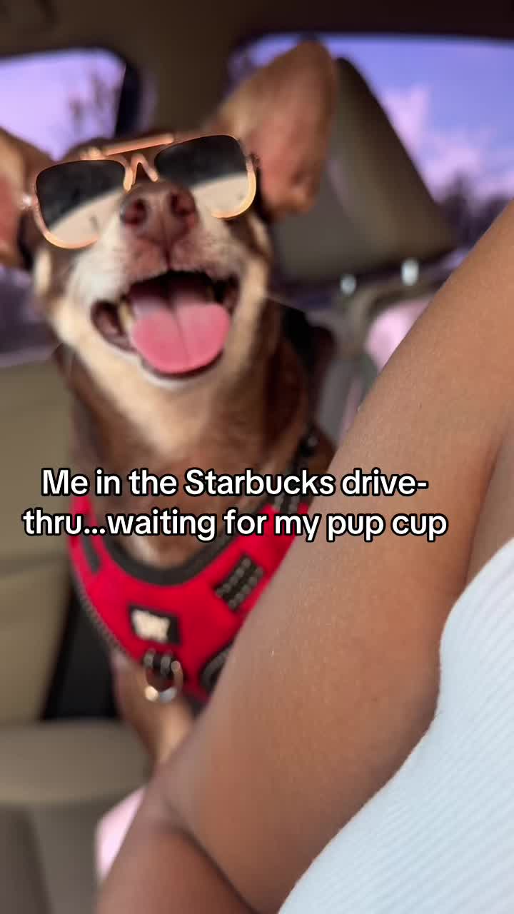 @Bruno28