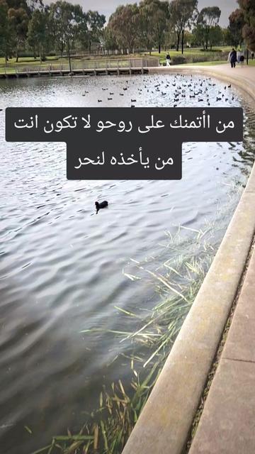 @Manalelsayed