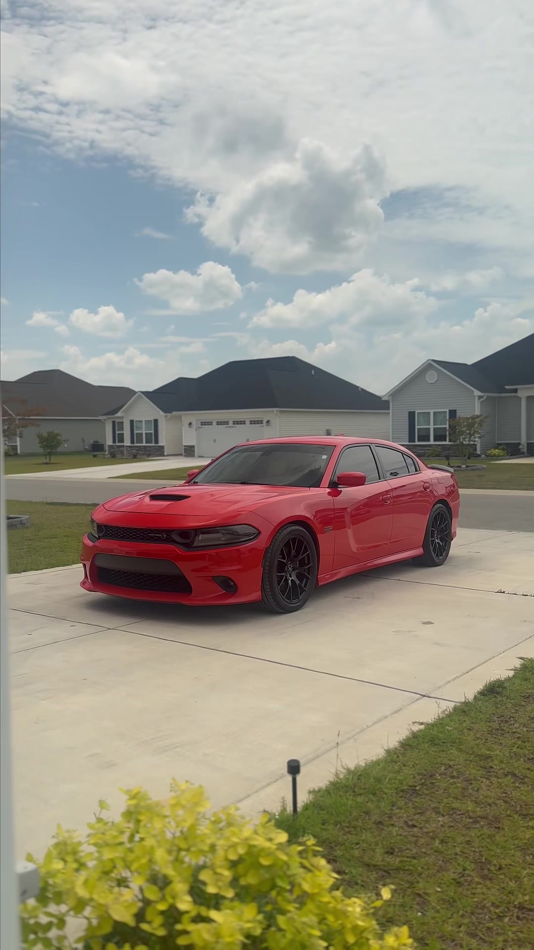 @Ciscoautodetailing