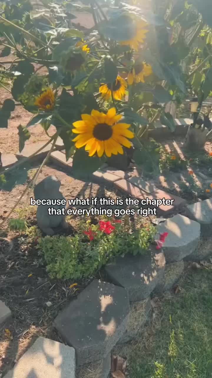 @A S H 🖤