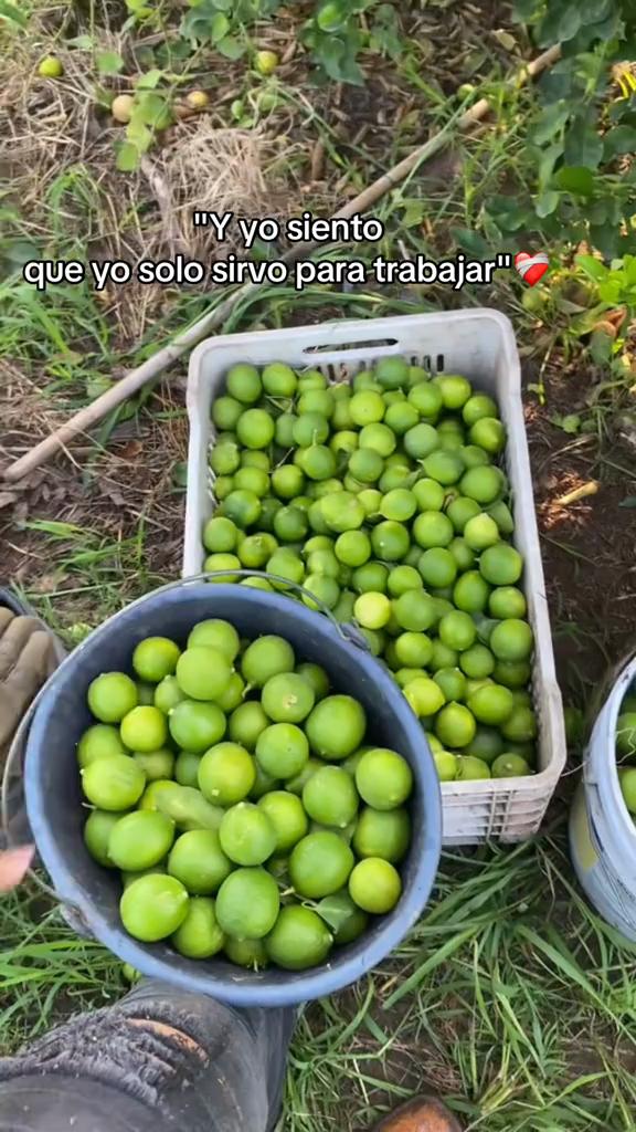 @Aracely