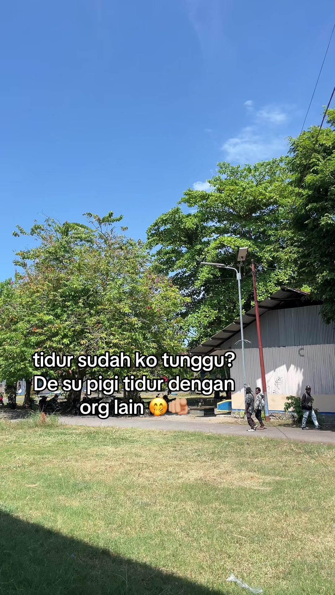 @faldy