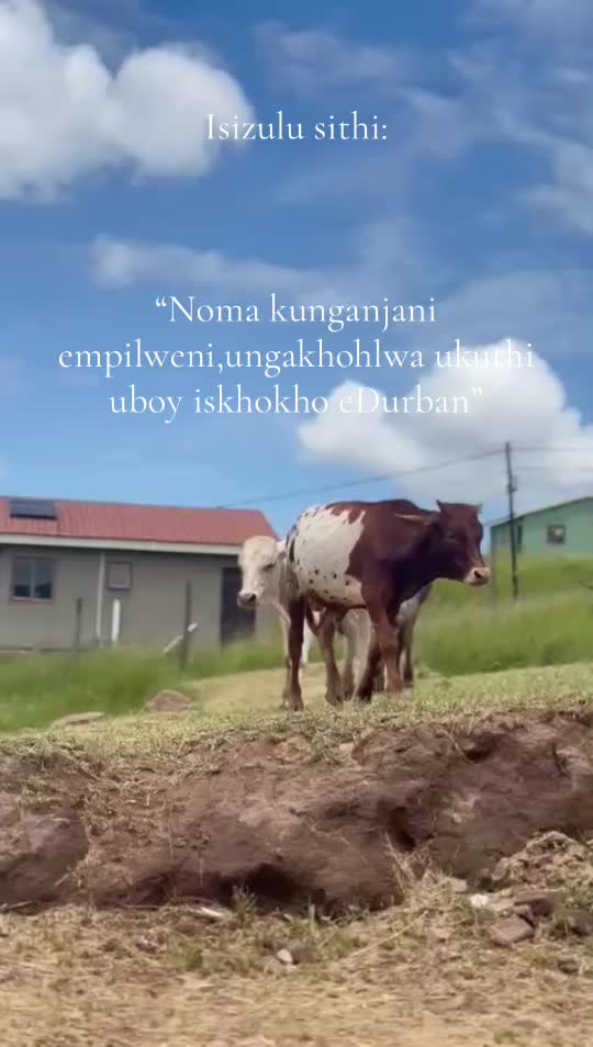 @Siyamthandazungu