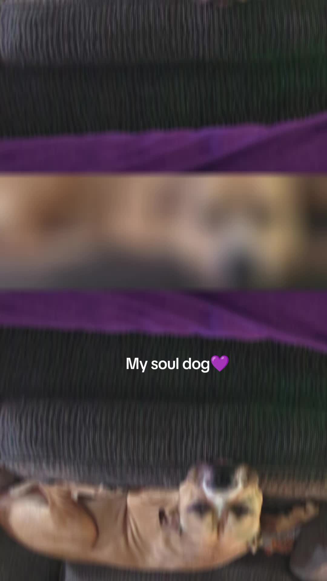 @Nikkiblu82