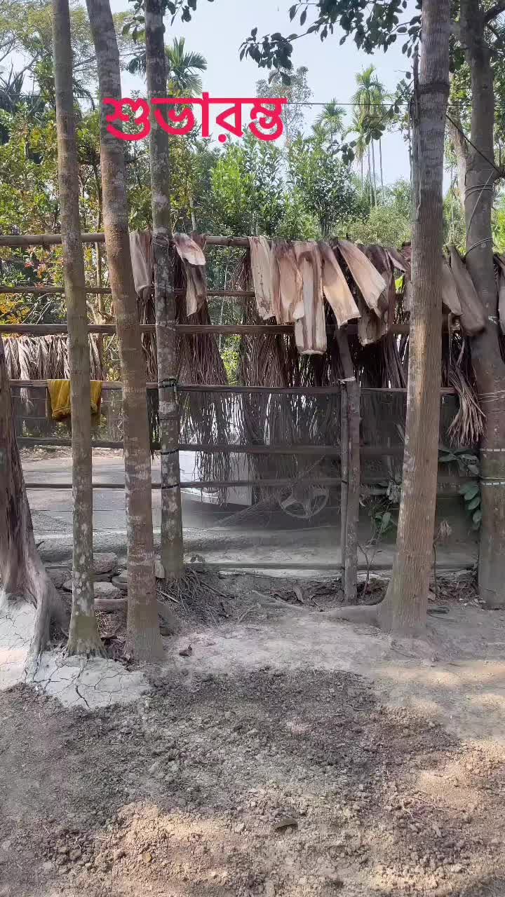 @🌼অতসী🌸
