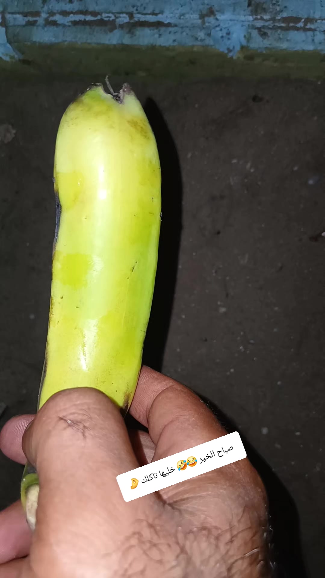 @يحيي انقاذ راس البر