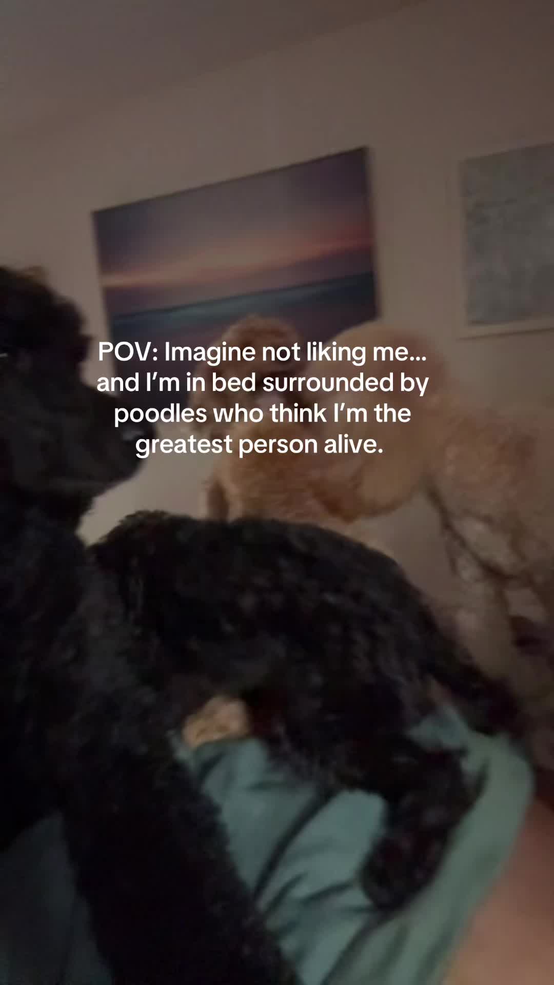 @packwalkdiaries