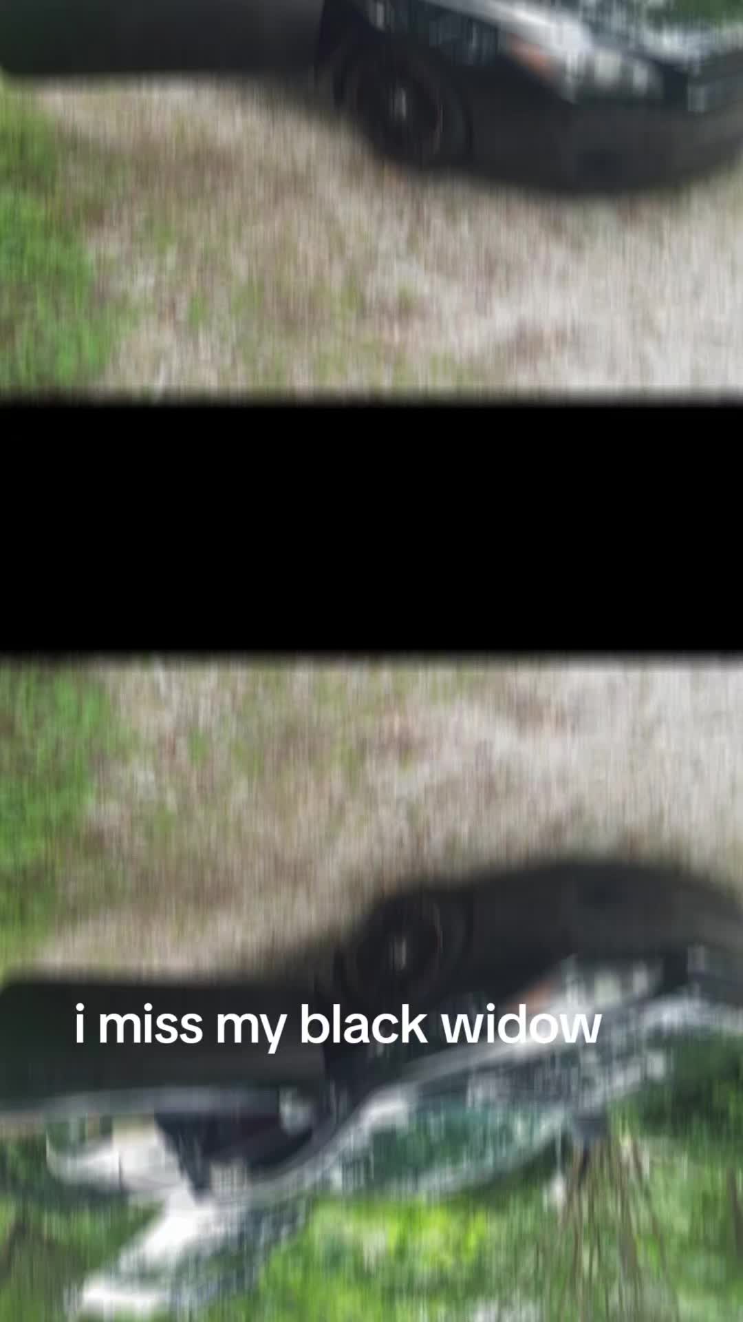 @theblackshipofthefamily
